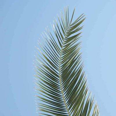 港澳宝典app下载